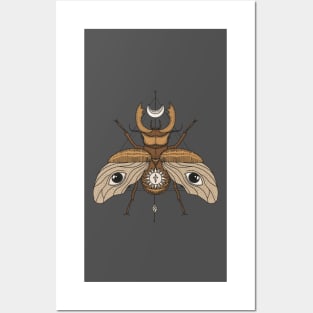 Colorfull  Beetle Illustration Posters and Art